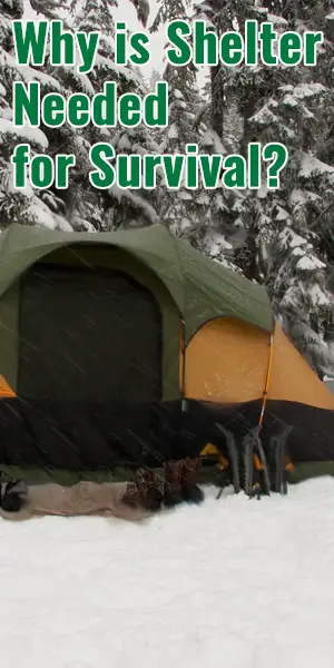 Why Is Shelter Needed For Survival Why Is Shelter Needed For Survival