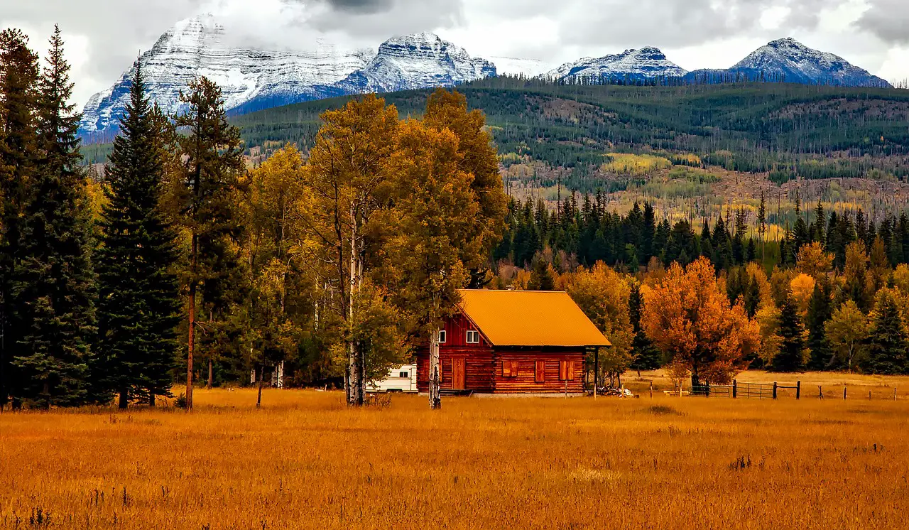 how-to-prepare-for-off-grid-living