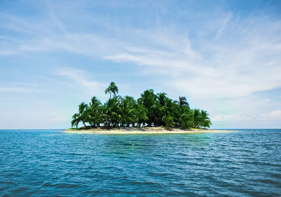 How To Survive On A Deserted Island 