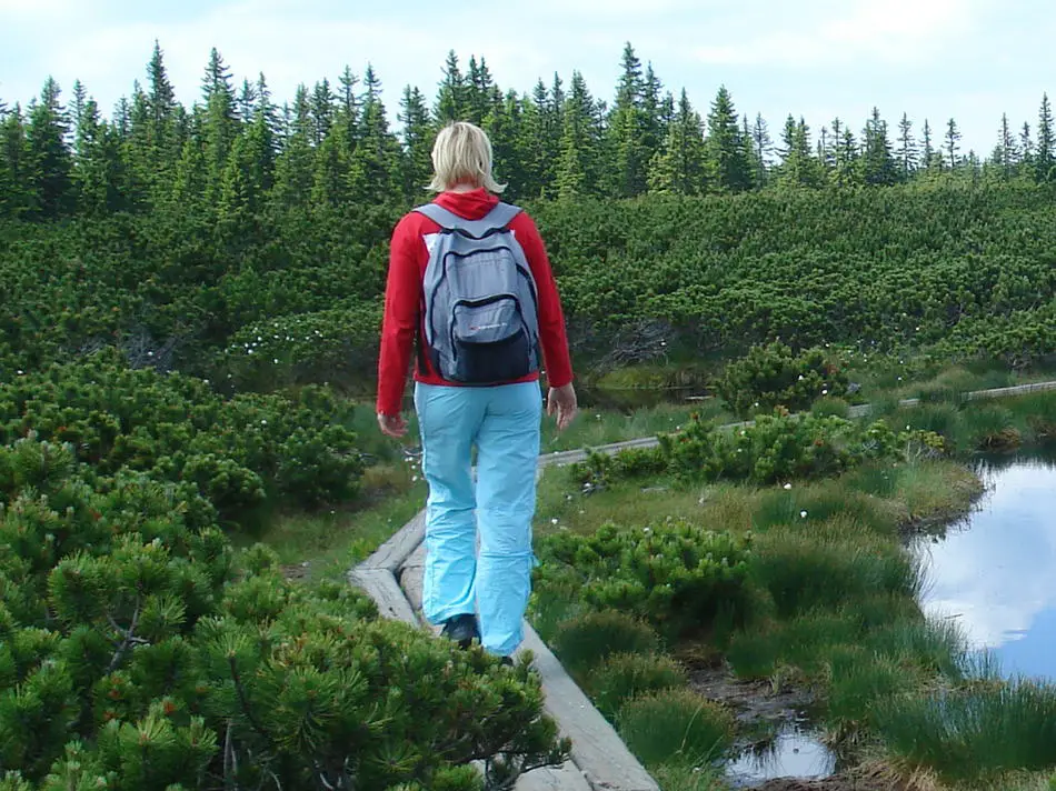 Hiking Pants for Women